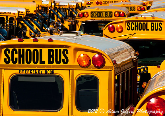 Brighton Beach Bus Depot