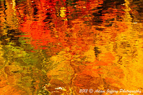Central Park Autumn Palette