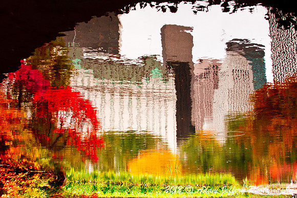 Central Park Reflections