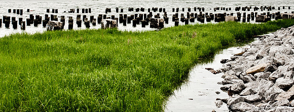 Brooklyn Bridge Park