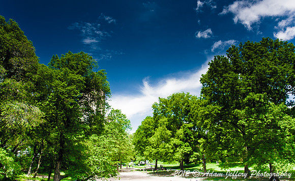 Central Park Green and Blue
