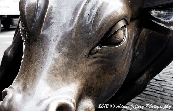 Wall Street Bull
