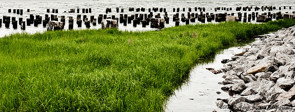 NY Water Scene