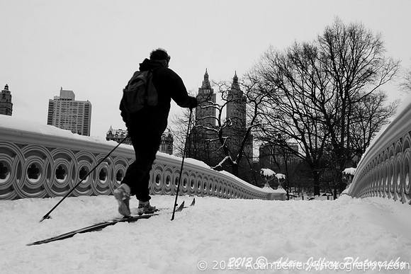 Cross-Country Skiing