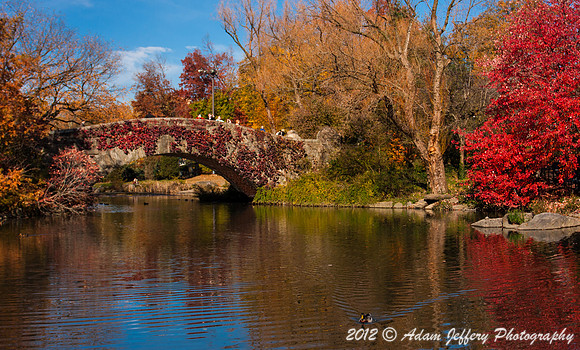 Central Park Colors