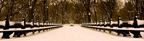 Central Park Snow