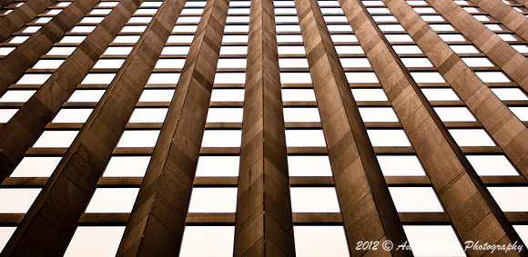 The Ladders
