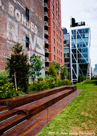 Highline Grass and Bench