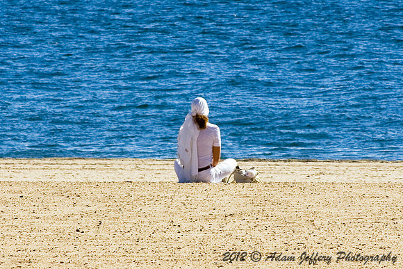 Brighton Beach Solitude
