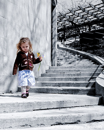 Step into Spring