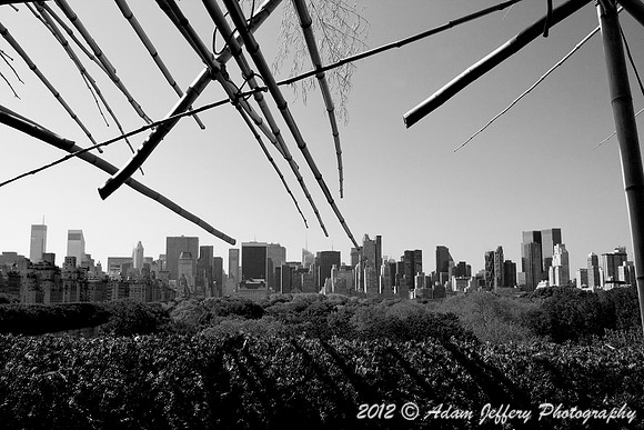 Central Park Rooftop View